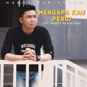 Harry Parintang - Mengapa Kau Pergi
