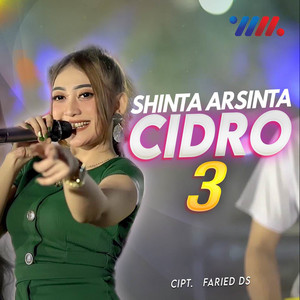 Shinta Arsinta - Cidro 3