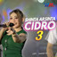 Shinta Arsinta - Cidro 3