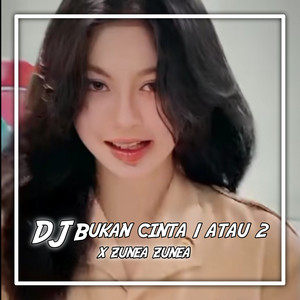 Yordan Remix Scr - Dj Bukan Cinta 1 Atau 2 / Zunea Zunea
