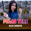 ALVI ANANTA - Pelas Teri