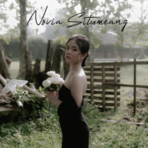 Novia Situmeang - Tak Kembali - Instrumental