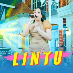 Shinta Arsinta - Lintu