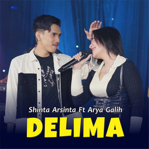 Shinta Arsinta - Delima