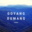 DJ Kuyik - Goyang Dumang