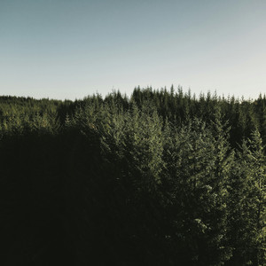 B-Zey, Paten fvnky - HEY IM LOCO X GELENG GELENG AISAH MENGKANE PARAH