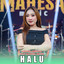 Shinta Arsinta, Mahesa Music - Halu