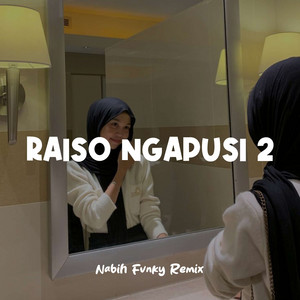 Nabih Fvnky Remix - Raiso Ngapusi 2
