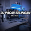 Erli Reja - DJ PACAR SELINGAN