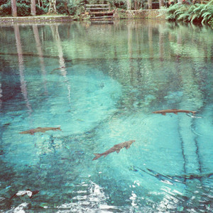 Faine - Muara