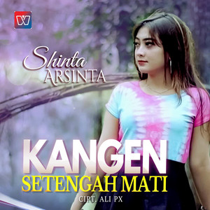 Shinta Arsinta - Kangen Setengah Mati
