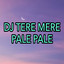 Dj Saputra - DJ Tere Mere - Pale Pale