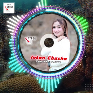 Intan Chacha - Sehati Karo Kowe (REMIX)