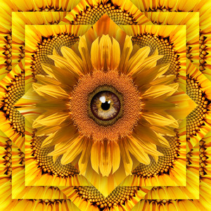 The Artchemists - Scattered Flowers