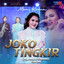 Mira Kirana - Joko Tingkir