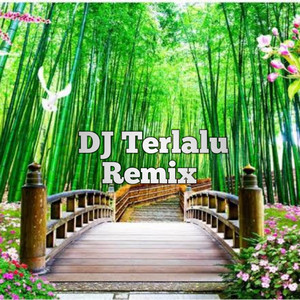 DJ Octa Gempol - DJ Terlalu Remix