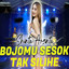 Shinta Arsinta - Bojomu Sesok Tak Silihe