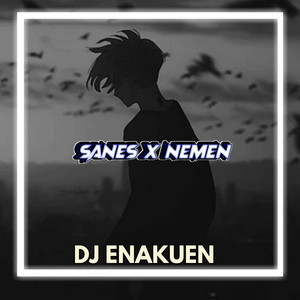 COLER ID - DJ SANES X NEMEN REMIX