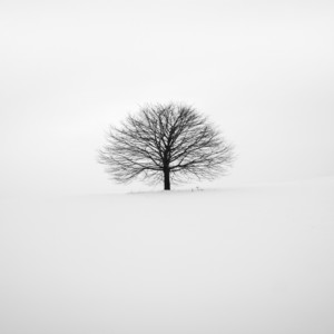 Andrew Septian - Monolog