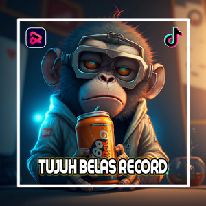 TUJUH BELAS RECORD - DJ RINDU DALAM DIAM