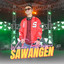 Wandra Restusiyan, DJ OXIN - Sawangen - Remix