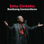 Bambang Soemardiono - Satu Cintaku