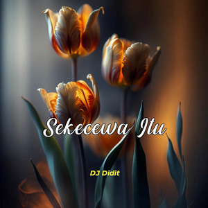 Angga Candra, DJ Didit - Sekecewa Itu - Remix