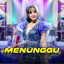 Laila Ayu - Menunggu