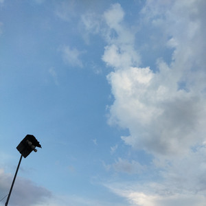 Lestarina Br Tarigan - Melawan Dunia