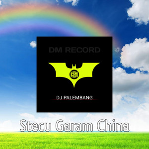 DJ PALEMBANG - Stecu Garam China