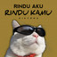 Kiky RMX - DJ Rindu Aku Rindu Kamu