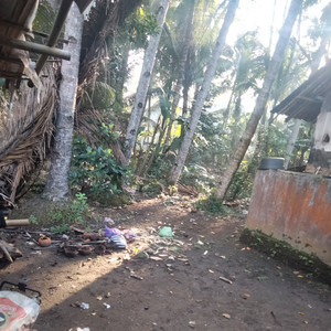 Bagaskoro - Tugasku