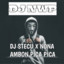 DJ NWP - DJ Stecu X Nona Ambon Pica Pica