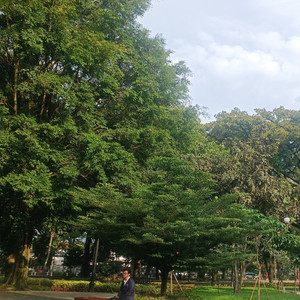 MiyabiMutz, Nianiani - Perna berpikir