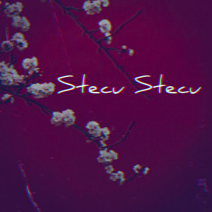 Boedak Korporat - Stecu