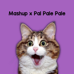 Mitsu Fvnky - Mashup Pale Pale