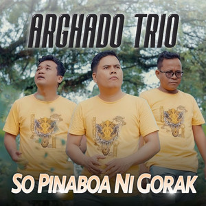 Arghado Trio - So Pinaboa Ni Gorak