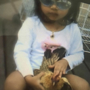 palemoon.wav, Cwola - vanilla sugar