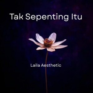 Laila Aesthetic - Tak Sepenting Itu