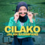 Ayu Amanda - Cilako Jalan Basimpang