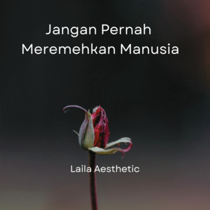 Laila Aesthetic - Jangan Pernah Meremehkan Manusia