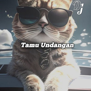 DJ LEO REMIX OFFICIAL - Tamu Undangan