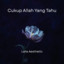 Laila Aesthetic - Cukup Allah Yang Tahu