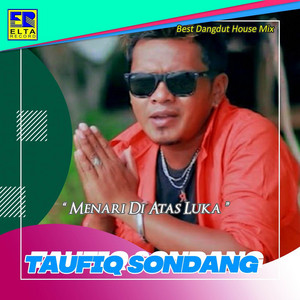 Taufiq Sondang - Pengadilan Cinta