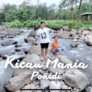 Ponidi - Kicau Mania