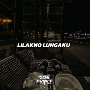 Zein Fvnky - Lilakno Lungaku