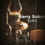 Harry Sabar - Lentera