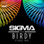 Sigma, Birdy - Find Me
