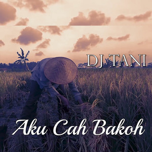 DJ TANI - Aku Cah Bakoh