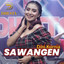 Dini Kurnia - Sawangen